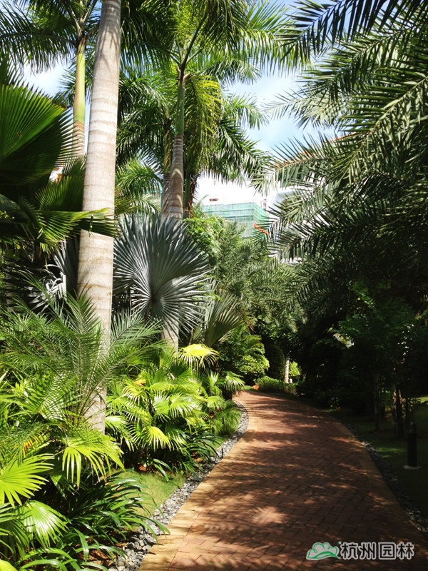 电竞比赛押注app