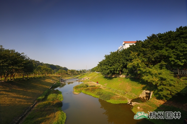 电竞比赛押注app