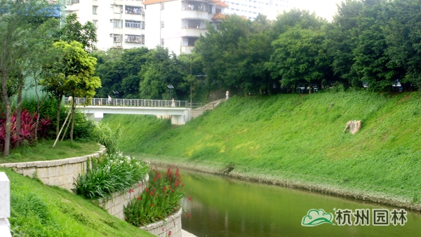 电竞比赛押注app