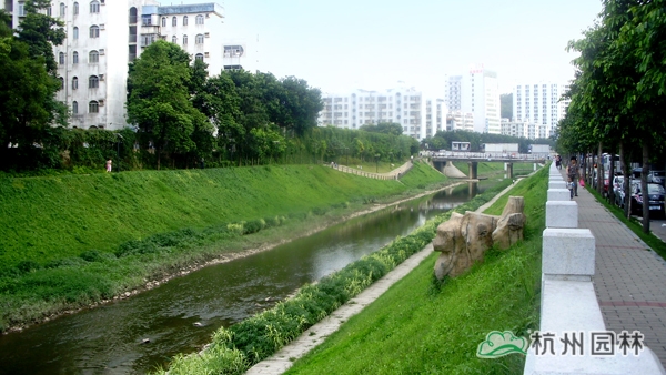 电竞比赛押注app