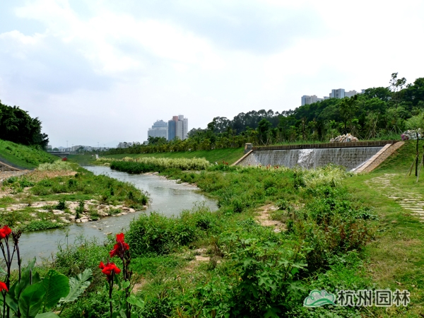 电竞比赛押注app