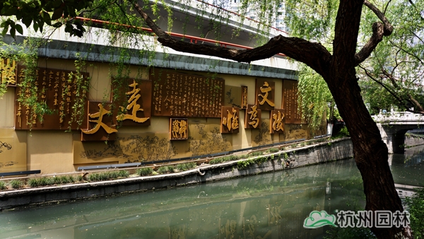 电竞比赛押注app