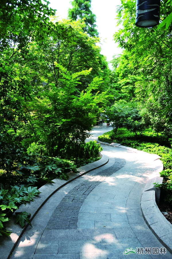 电竞比赛押注app