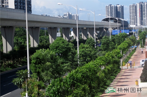 电竞比赛押注app