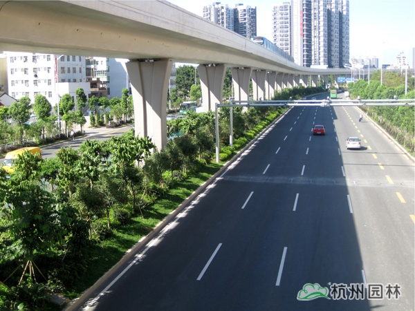 电竞比赛押注app