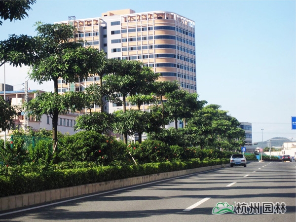 电竞比赛押注app