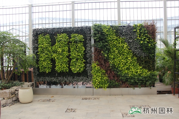 电竞比赛押注app