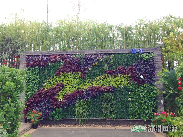 电竞比赛押注app