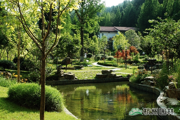 电竞比赛押注app