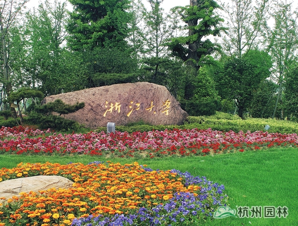 电竞比赛押注app