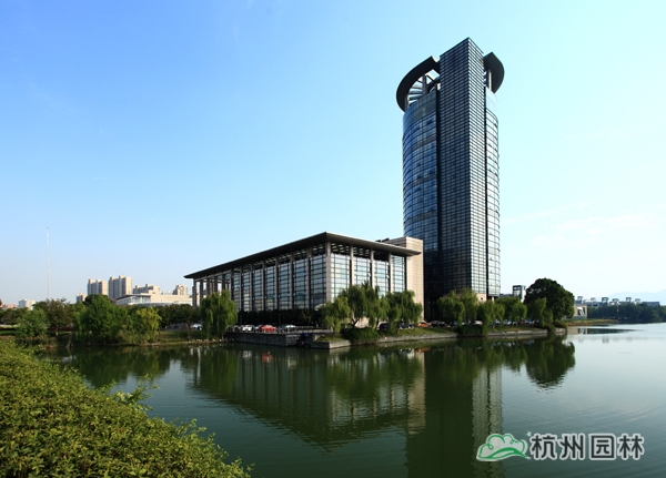 电竞比赛押注app