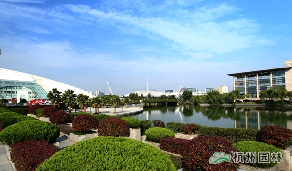 电竞比赛押注app