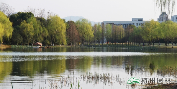 电竞比赛押注app