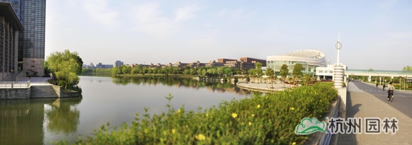 电竞比赛押注app