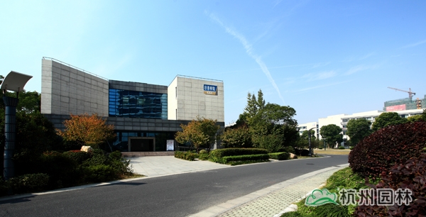 电竞比赛押注app