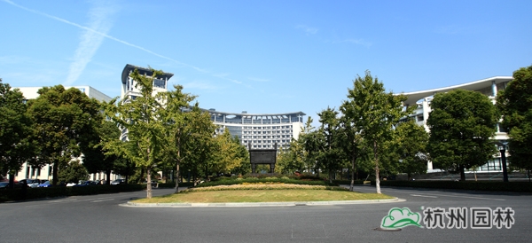 电竞比赛押注app