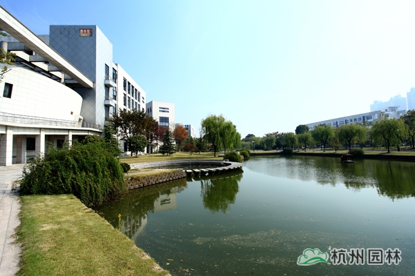 电竞比赛押注app