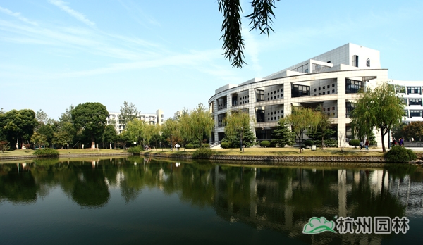 电竞比赛押注app