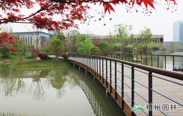 电竞比赛押注app