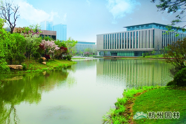 电竞比赛押注app