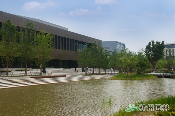 电竞比赛押注app