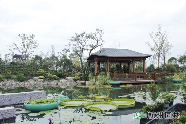 电竞比赛押注app