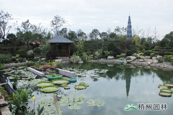 电竞比赛押注app