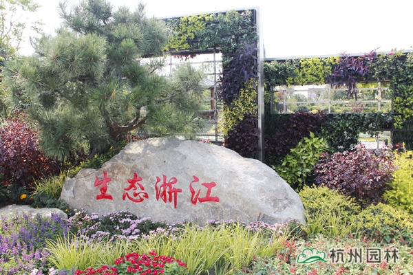 电竞比赛押注app