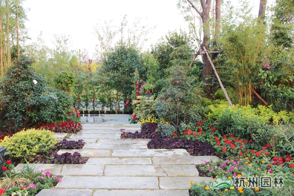 电竞比赛押注app