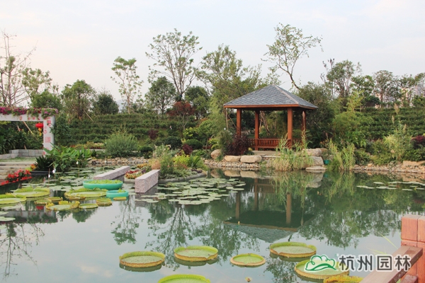 电竞比赛押注app