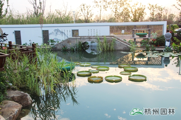 电竞比赛押注app