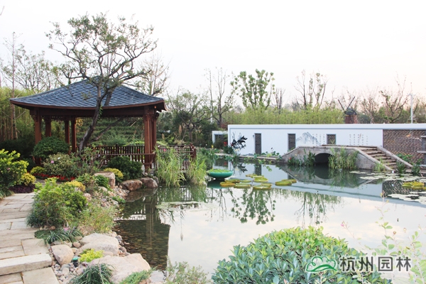 电竞比赛押注app