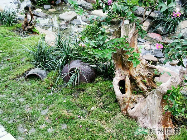 电竞比赛押注app