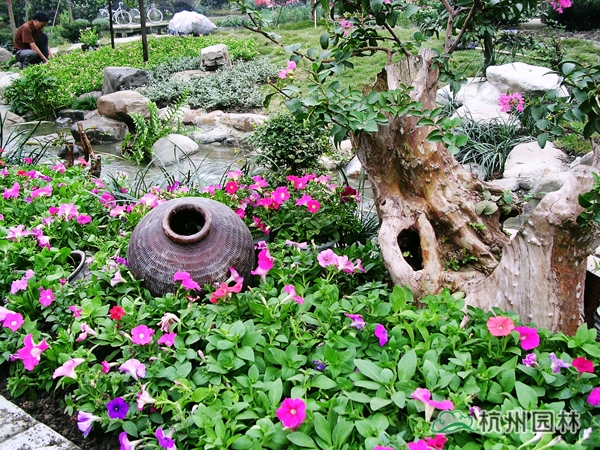 电竞比赛押注app