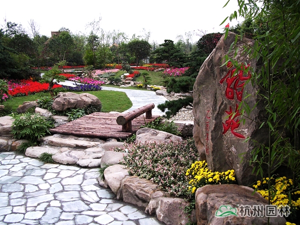 电竞比赛押注app