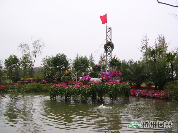 电竞比赛押注app