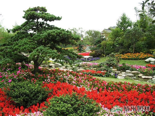 电竞比赛押注app