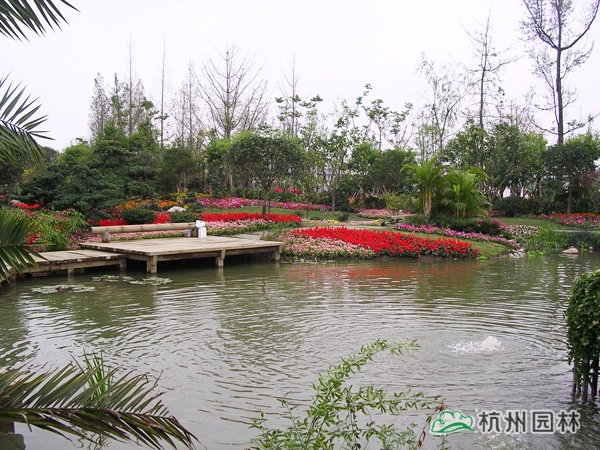 电竞比赛押注app