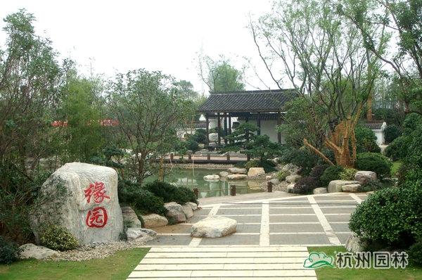 电竞比赛押注app