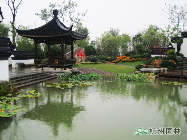 电竞比赛押注app