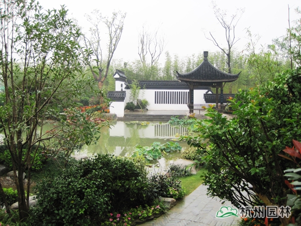 电竞比赛押注app