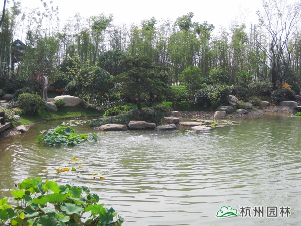 电竞比赛押注app