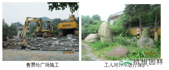 电竞比赛押注app