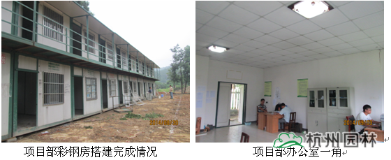 电竞比赛押注app