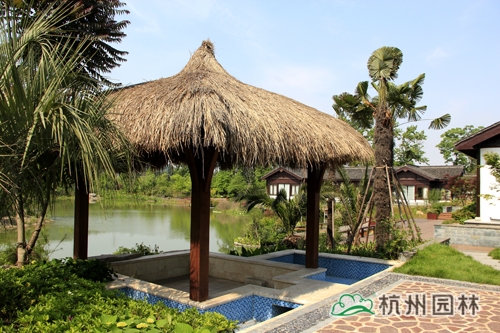 电竞比赛押注app