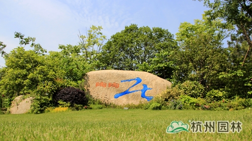 电竞比赛押注app