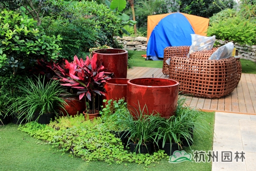 电竞比赛押注app