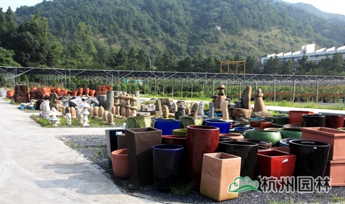 电竞比赛押注app