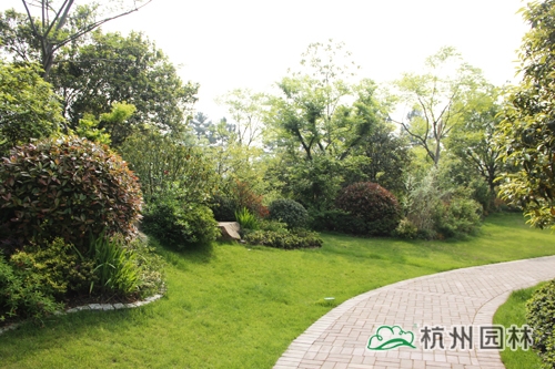 电竞比赛押注app