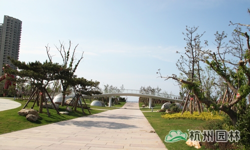 电竞比赛押注app